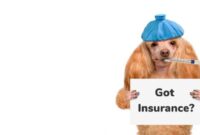 Pet australia claims bowwowinsurance