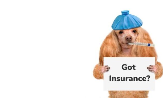 Pet australia claims bowwowinsurance