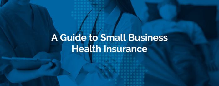 Insurance business health small group plans teresa myers november comments