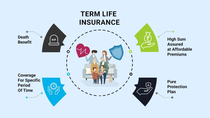 Term life insurance quotes quote cost policy protection small fixed terms seniors do big india need quotesbae plan cheap much