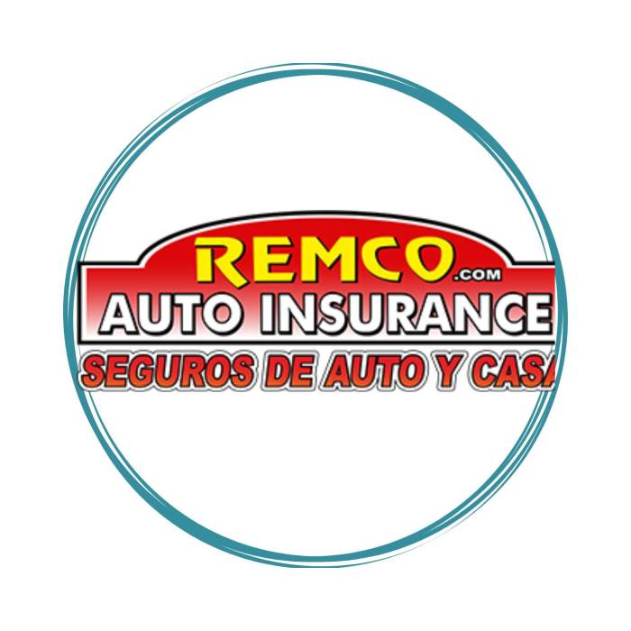 Insurance auto remco explanation