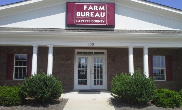 Bureau farm insurance ga fayetteville