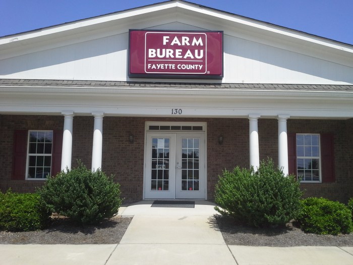 Bureau farm insurance ga fayetteville