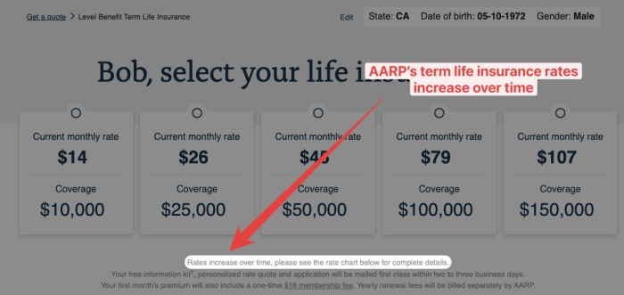 Aarp insurance life review