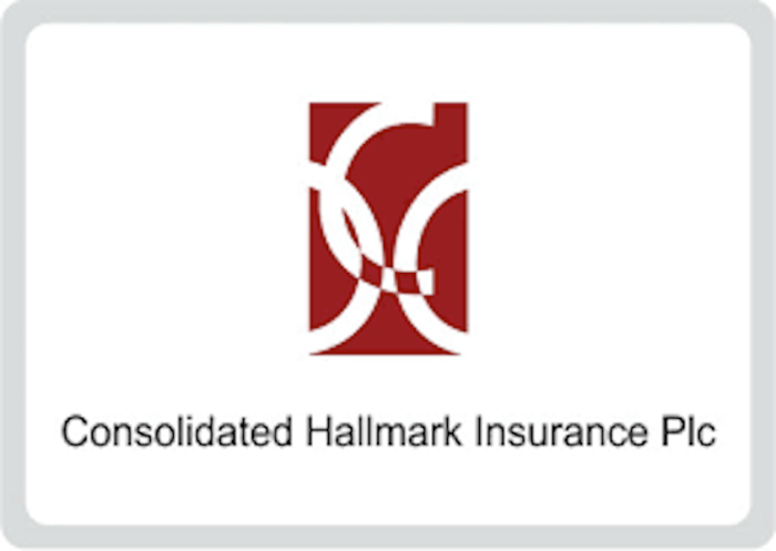 Consolidated hallmark stocksng