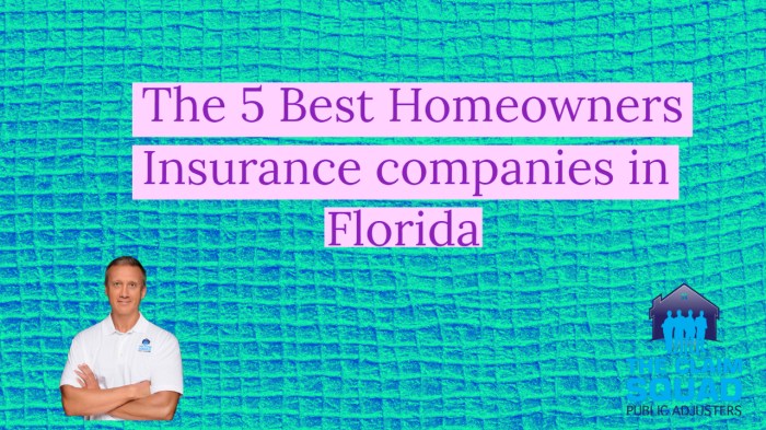 Insurance homeowners companies florida