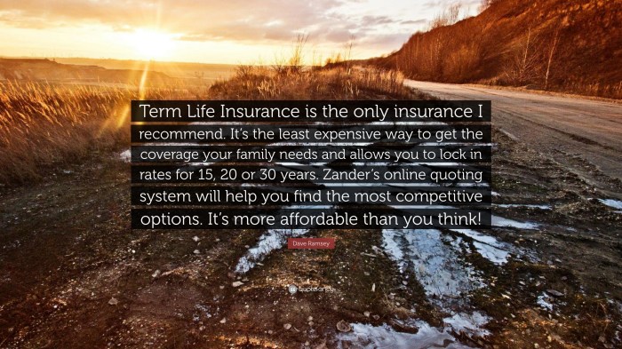 Term life instant insurance quote quotes quotesbae