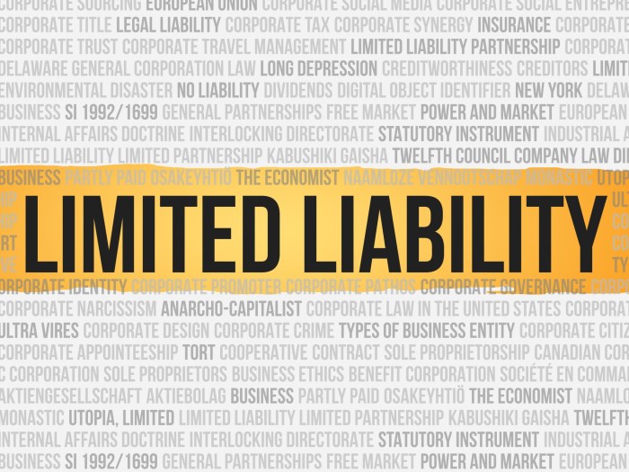 Liability limited company