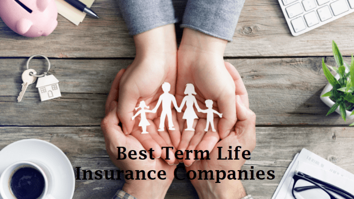 Insurance companies life top advisoryhq ranking rated agencies