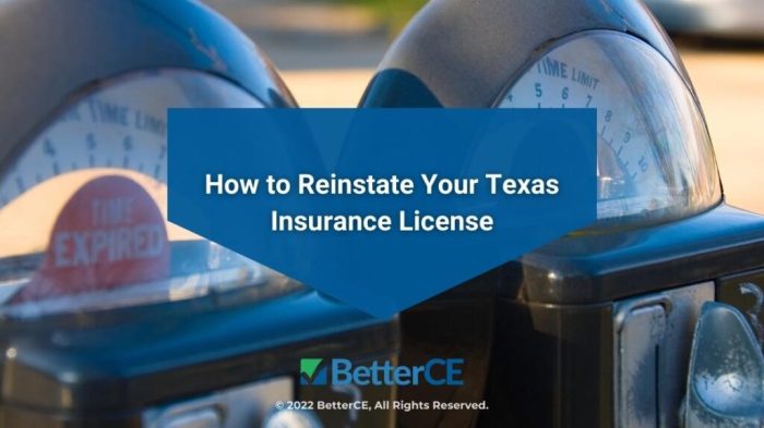 Look up texas insurance license