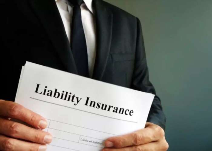 Insurance liability business types cert different its divided several some