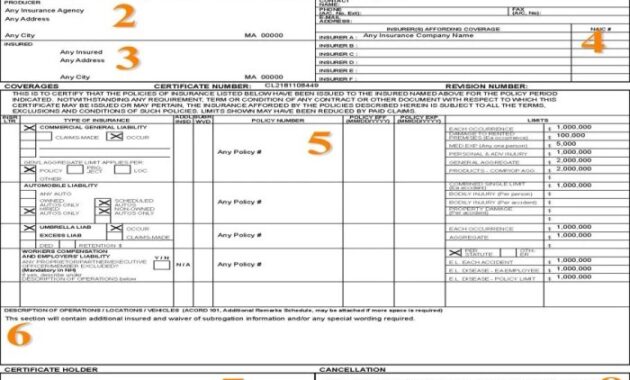 Insurance certificate coi sample llc