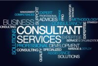 Insurance business consultant independent guide