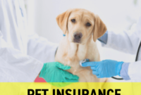 Insurance pet dog