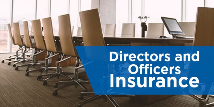 Directors indemnity