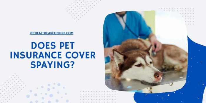 Does pet insurance cover spaying