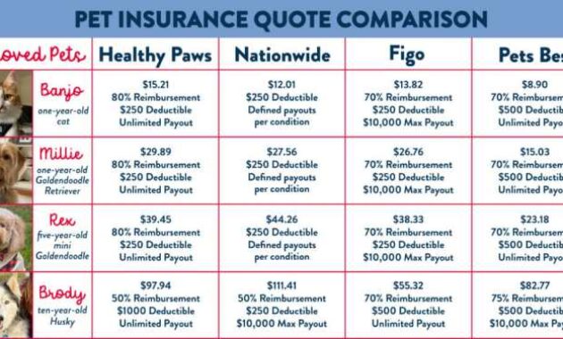 Pet insurance average costs money dogs chart accident prices monthly premiums pets retriever golden