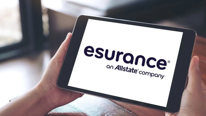 Esurance ourstart