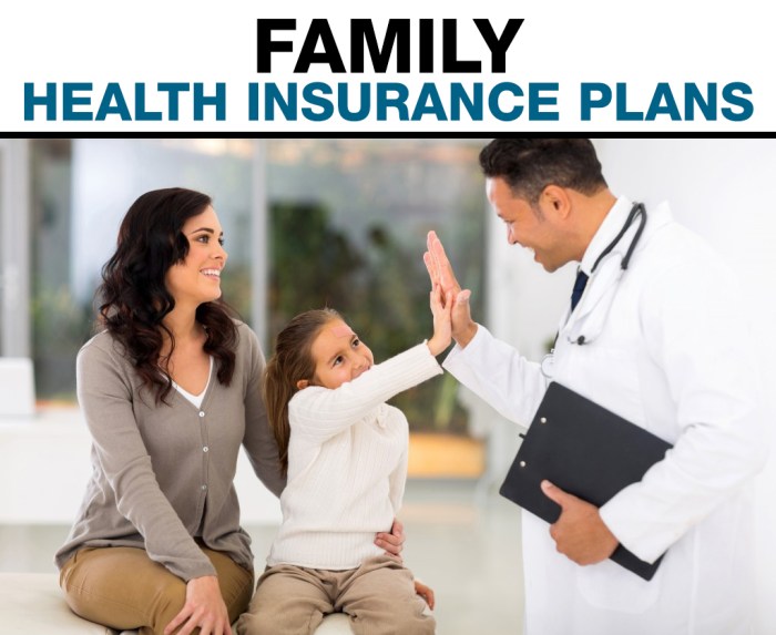 Health insurance plans individual california types medical care categories comparing under quotes type pay enrollment costs open classified major five