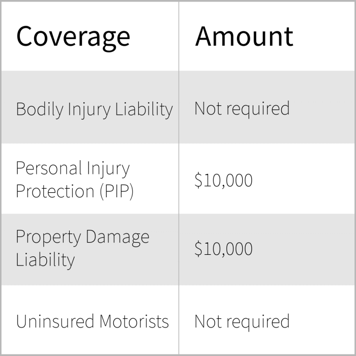 Insurance florida auto companies car much