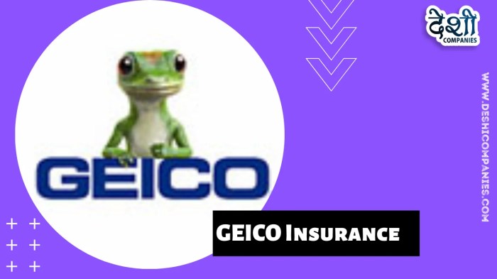 Geico establishment