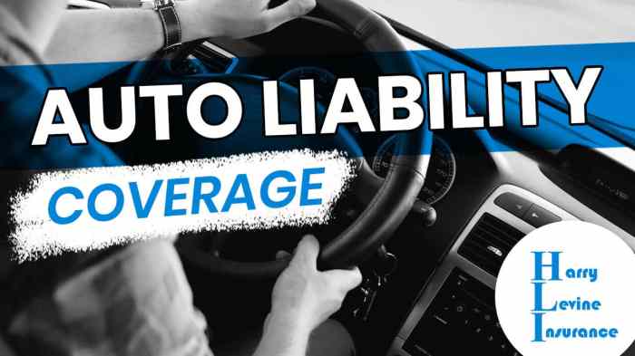 Liability infographics infographicszone