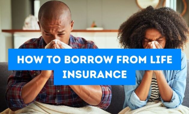 Insurance life borrowing money wealth immediate grow access get