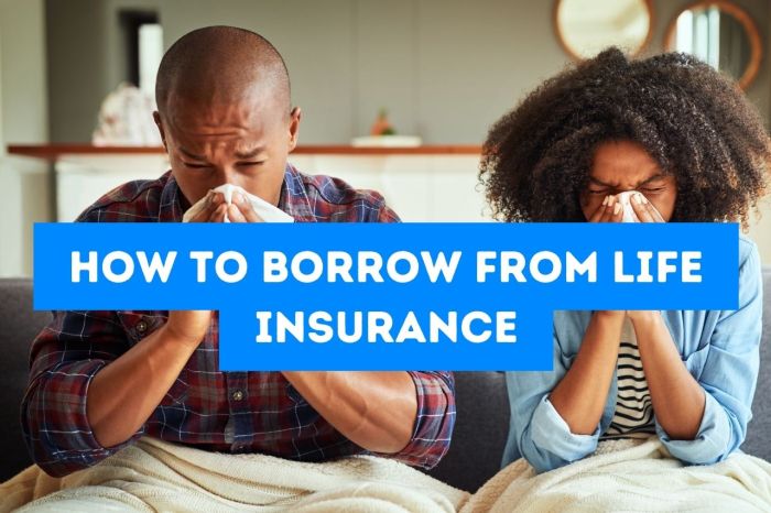 Insurance life borrowing money wealth immediate grow access get