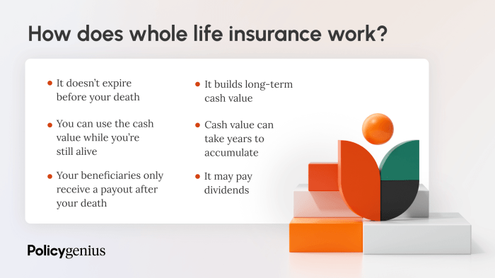 Insurance life whole types permanent policy coverage read term insure