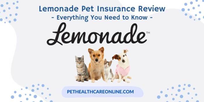 Lemonade caninejournal provider promising driven