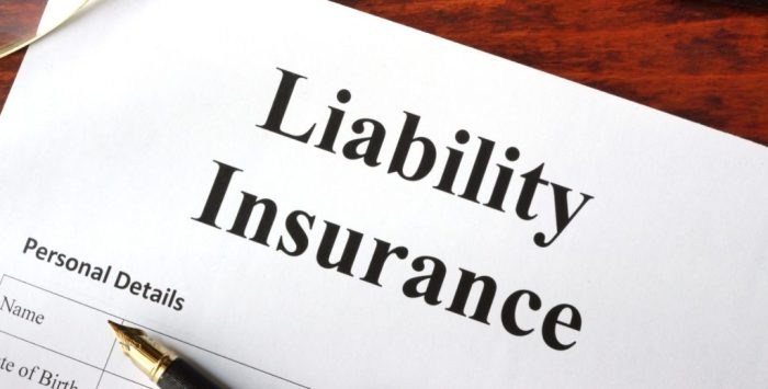 Liability insurance auto basic