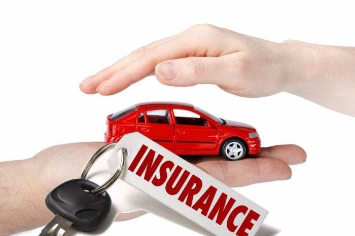 Insurance auto low cost factors determined