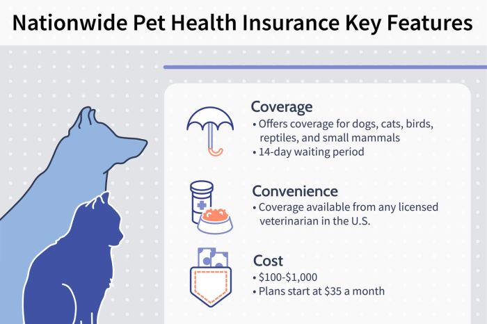 Pet insurance nationwide