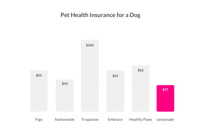 Pet insurance cost cats dogs age australia vs