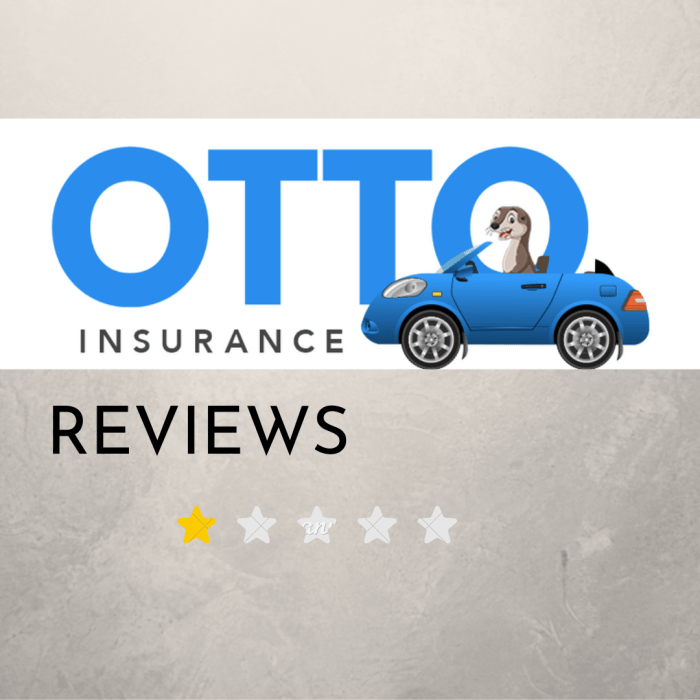 Otto insurance review