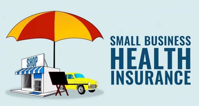 Insurance health business small simple made