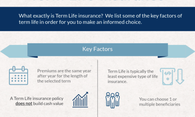 Insurance vs term life permanent