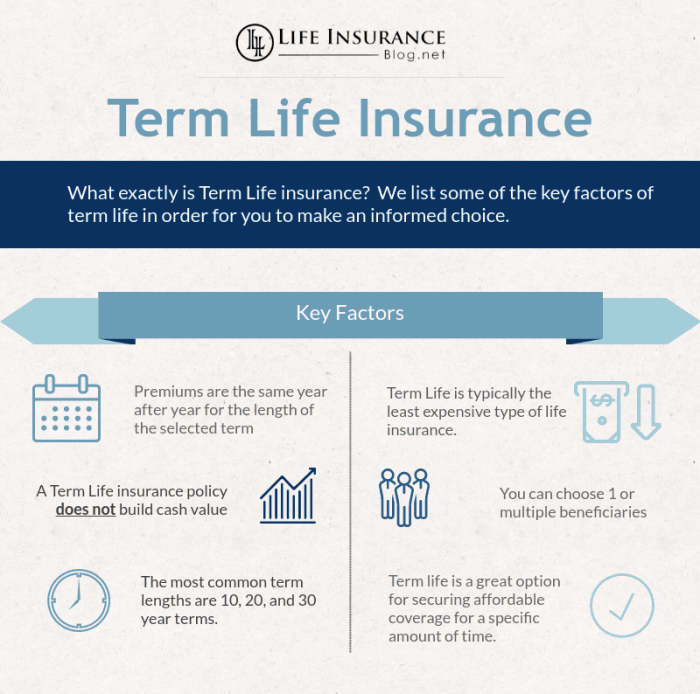 Insurance vs term life permanent