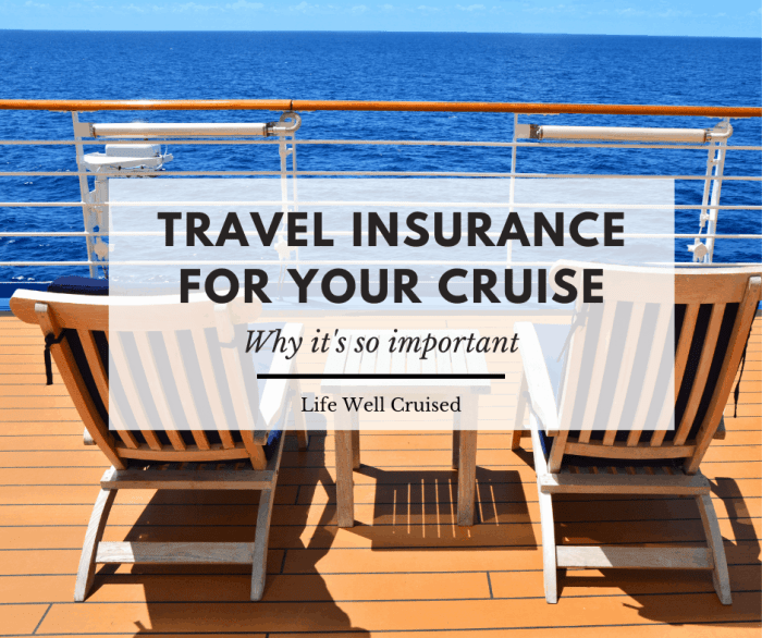 Insurance cruise concept travel preview illustration