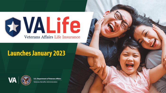 Life veterans insurance options min read