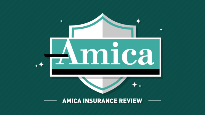 Amica insurance homeowners mutual quote ratings review