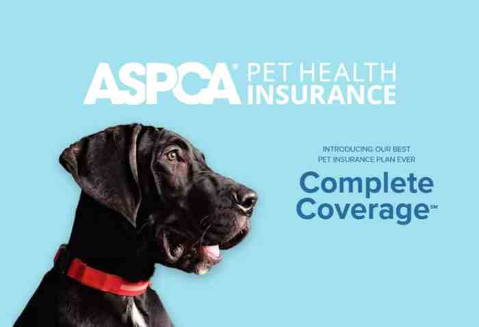 Aspca pet insurance review coverage organization year old written updated june last