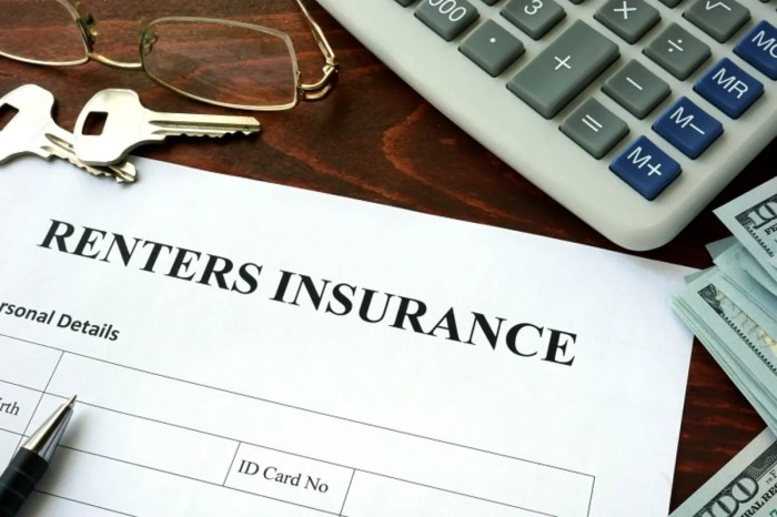 Insurance renters moneygeek