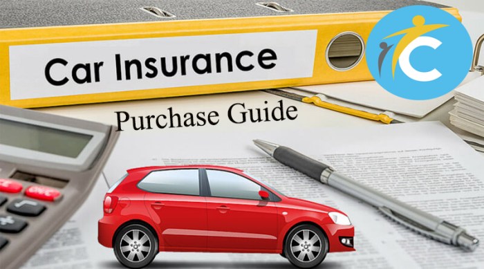 Car insurance purchase guide