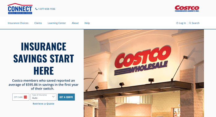 Costco ameriprise geico