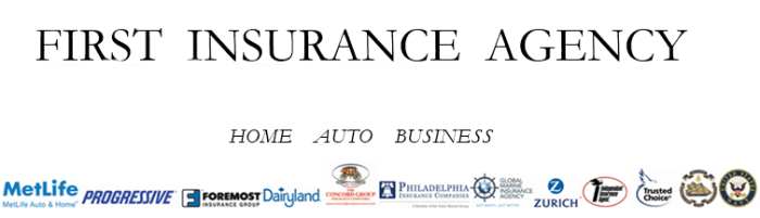 First insurance