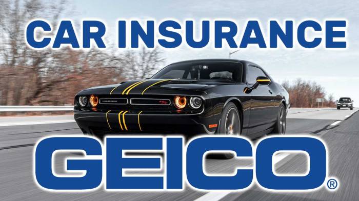 Geico