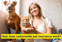 Pet insurance nationwide health whether deserves legs member four care every why quality they family two our