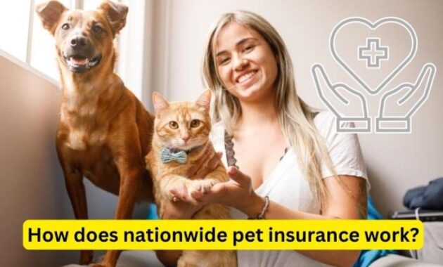 Pet insurance nationwide health whether deserves legs member four care every why quality they family two our