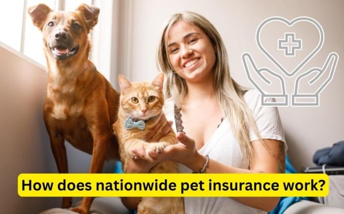 Pet insurance nationwide health whether deserves legs member four care every why quality they family two our